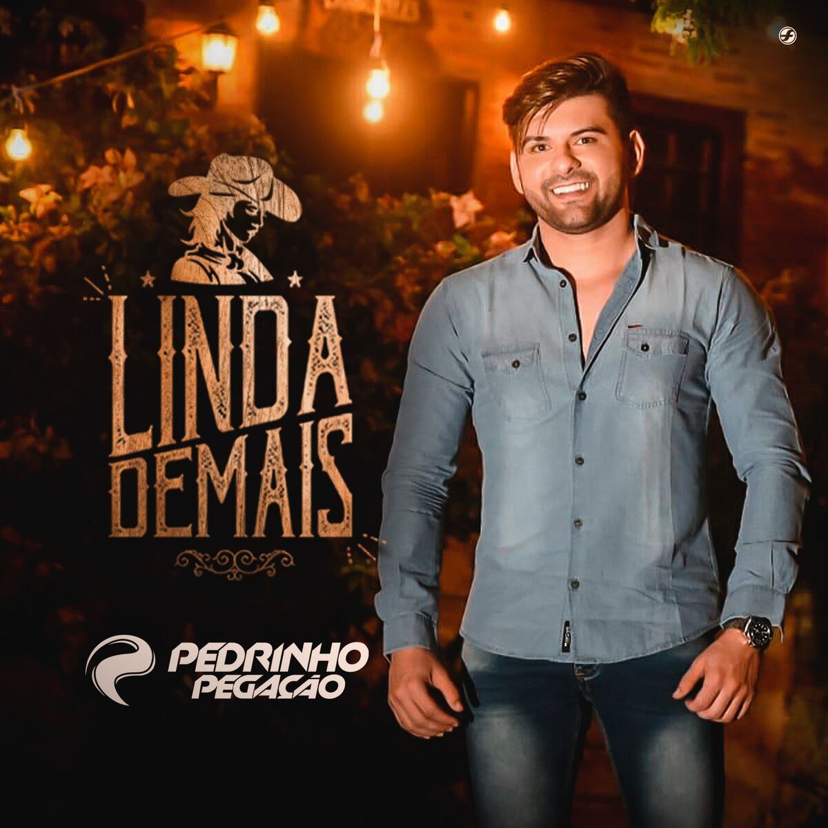 Album cover of Linda Demais