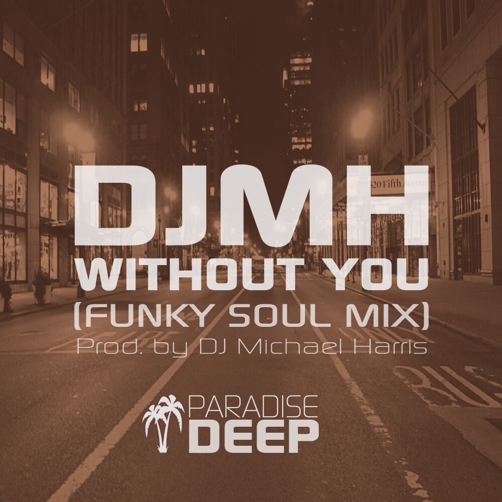 Picture of Without You (Funky Soul Mix)