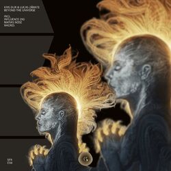 Cover of Beyond the Universe