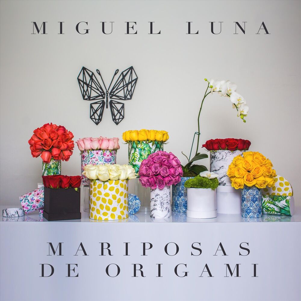 Picture of Mariposas de Origami