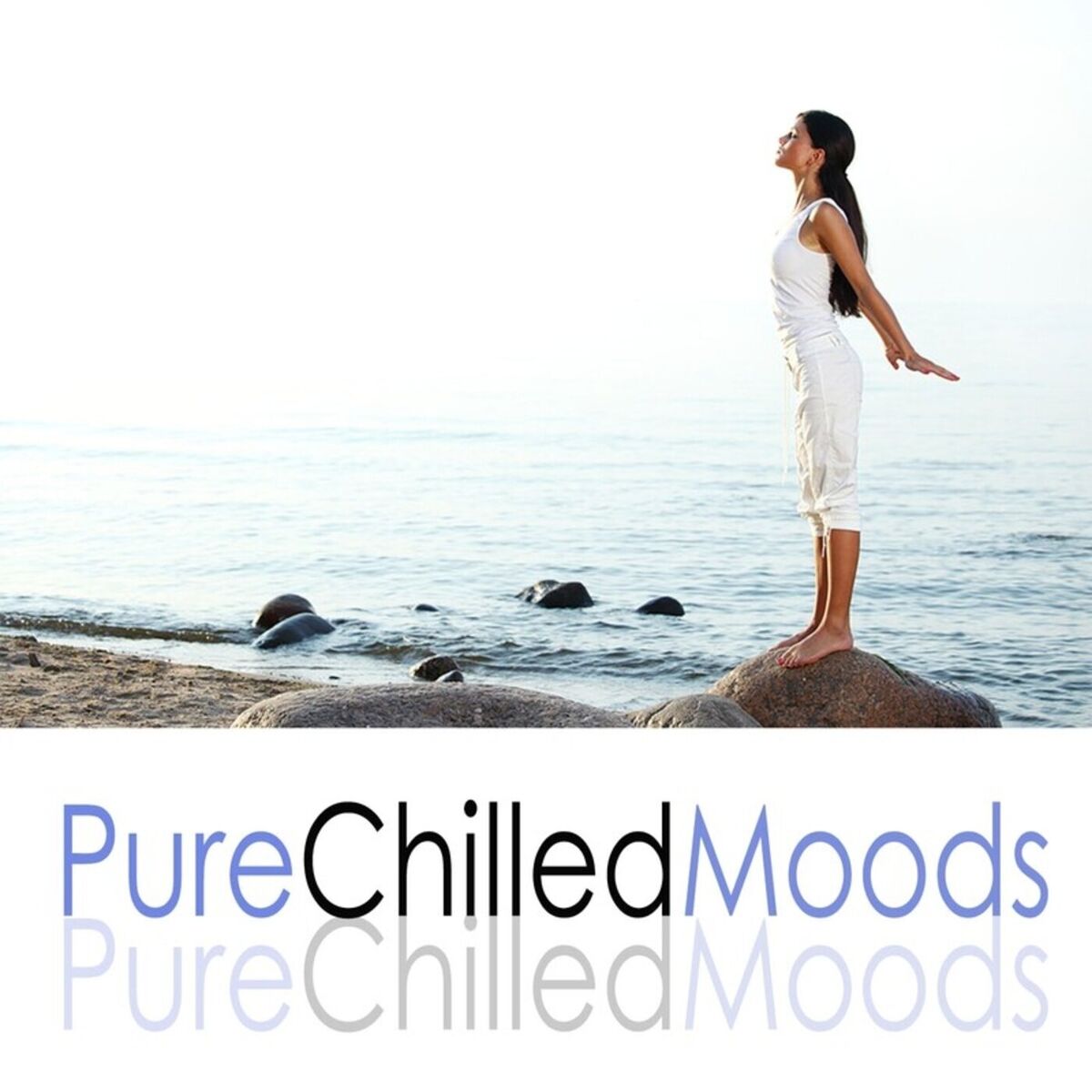Album cover of Pure Chilled Moods