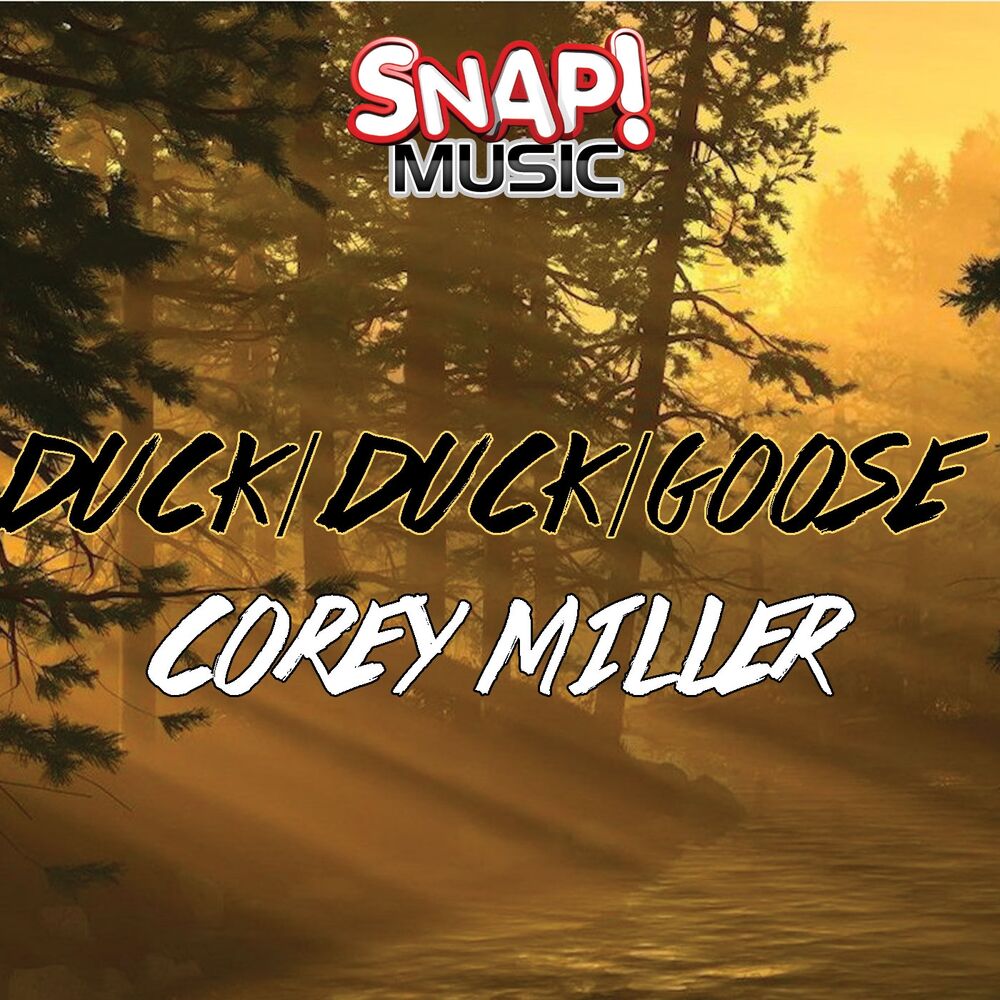 Picture of Duck Duck Goose