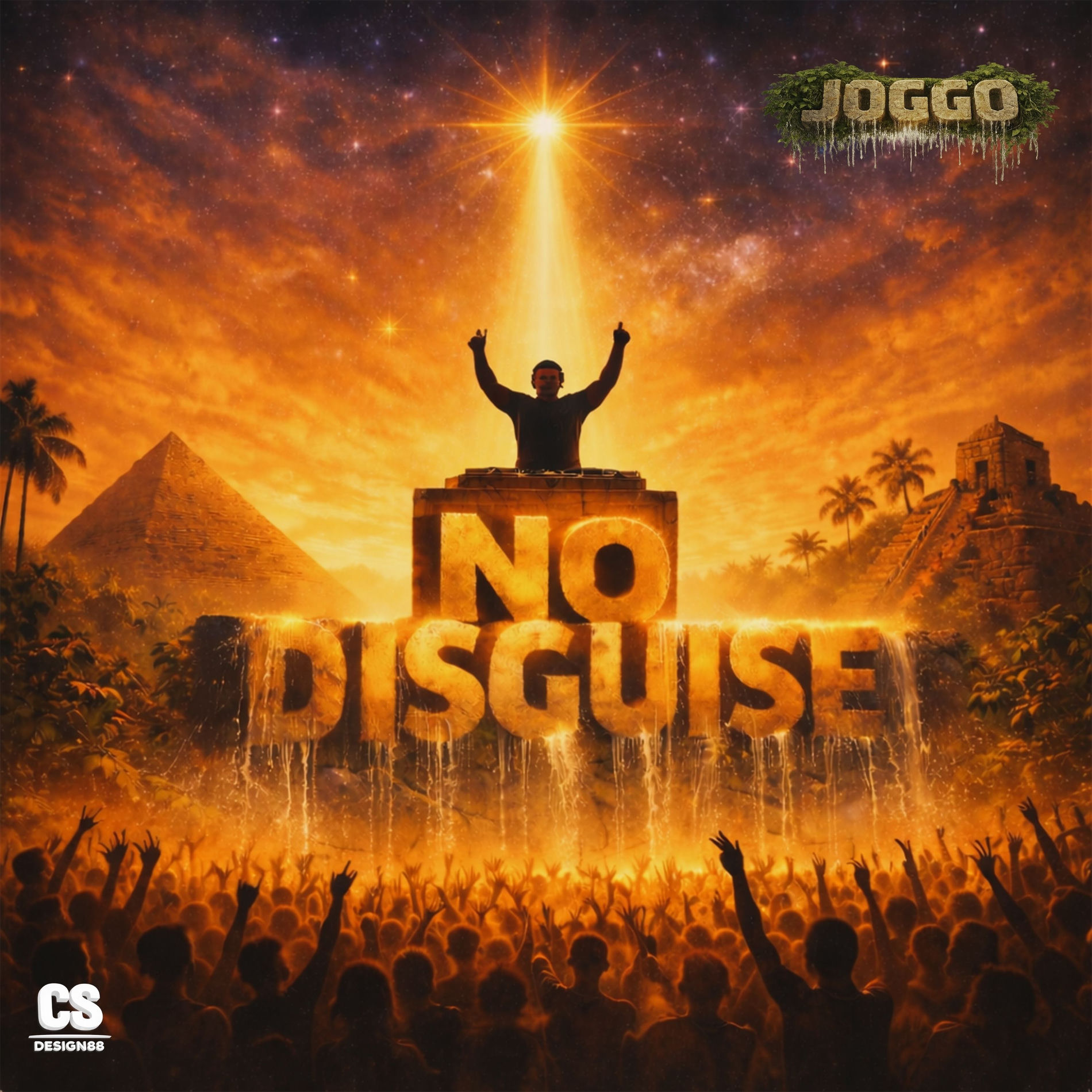 Album cover of No Disguise