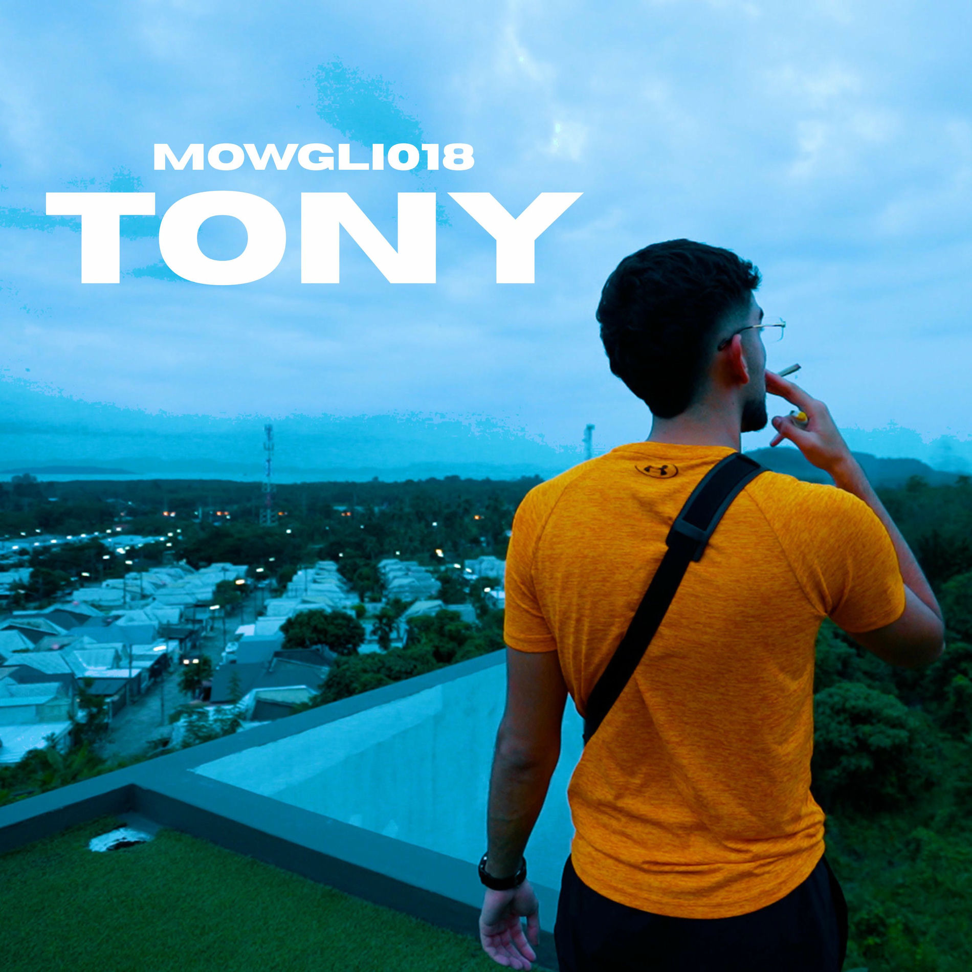 Album cover of Tony