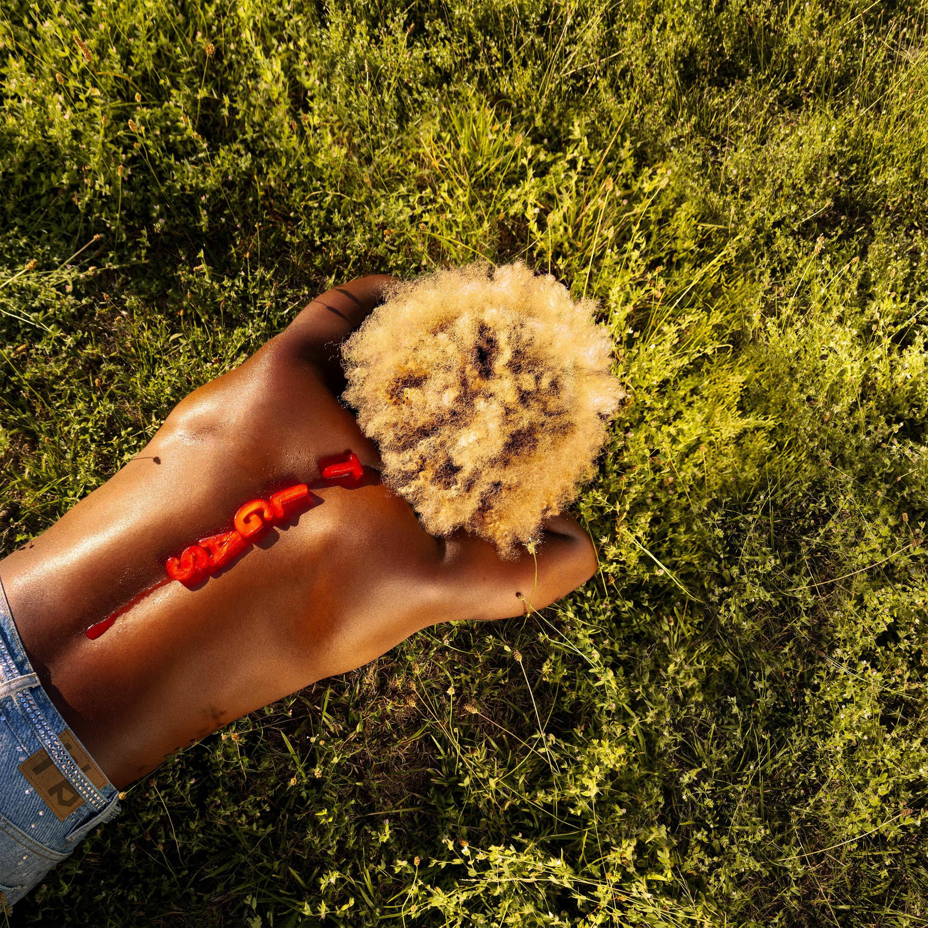 Album cover of The Last Great American Summer