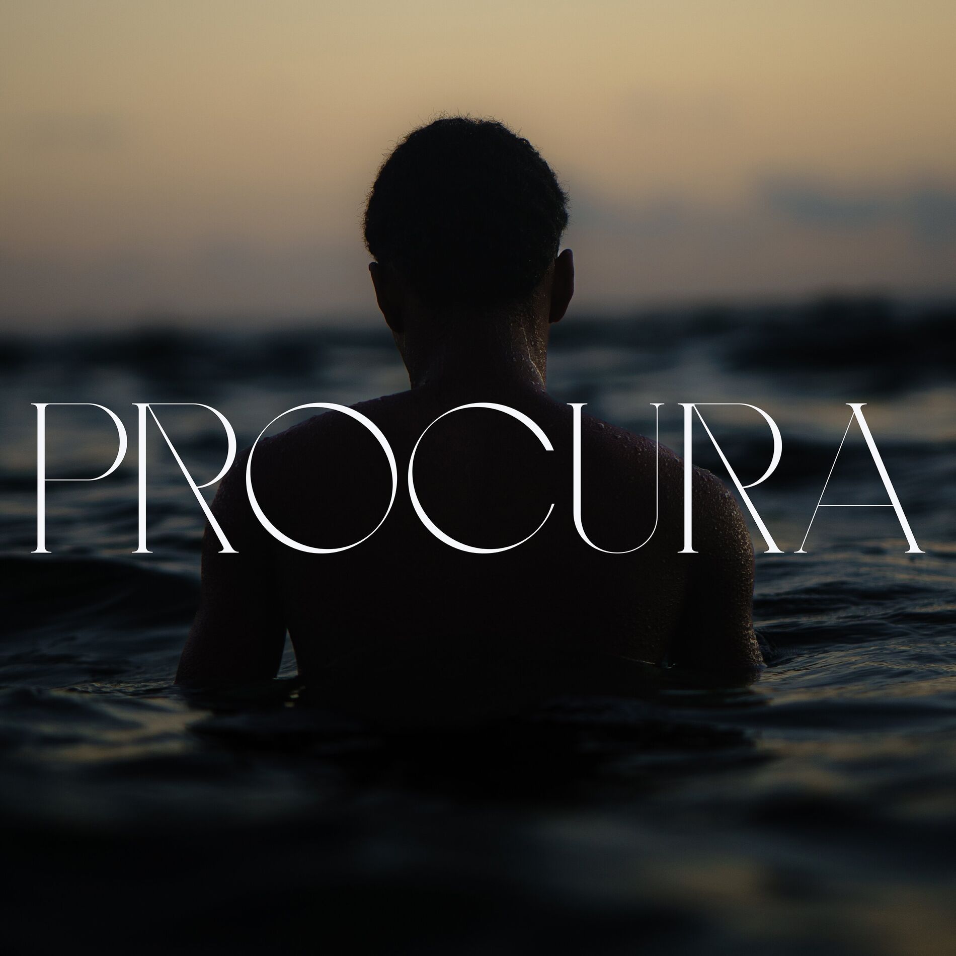 Album cover of Procura