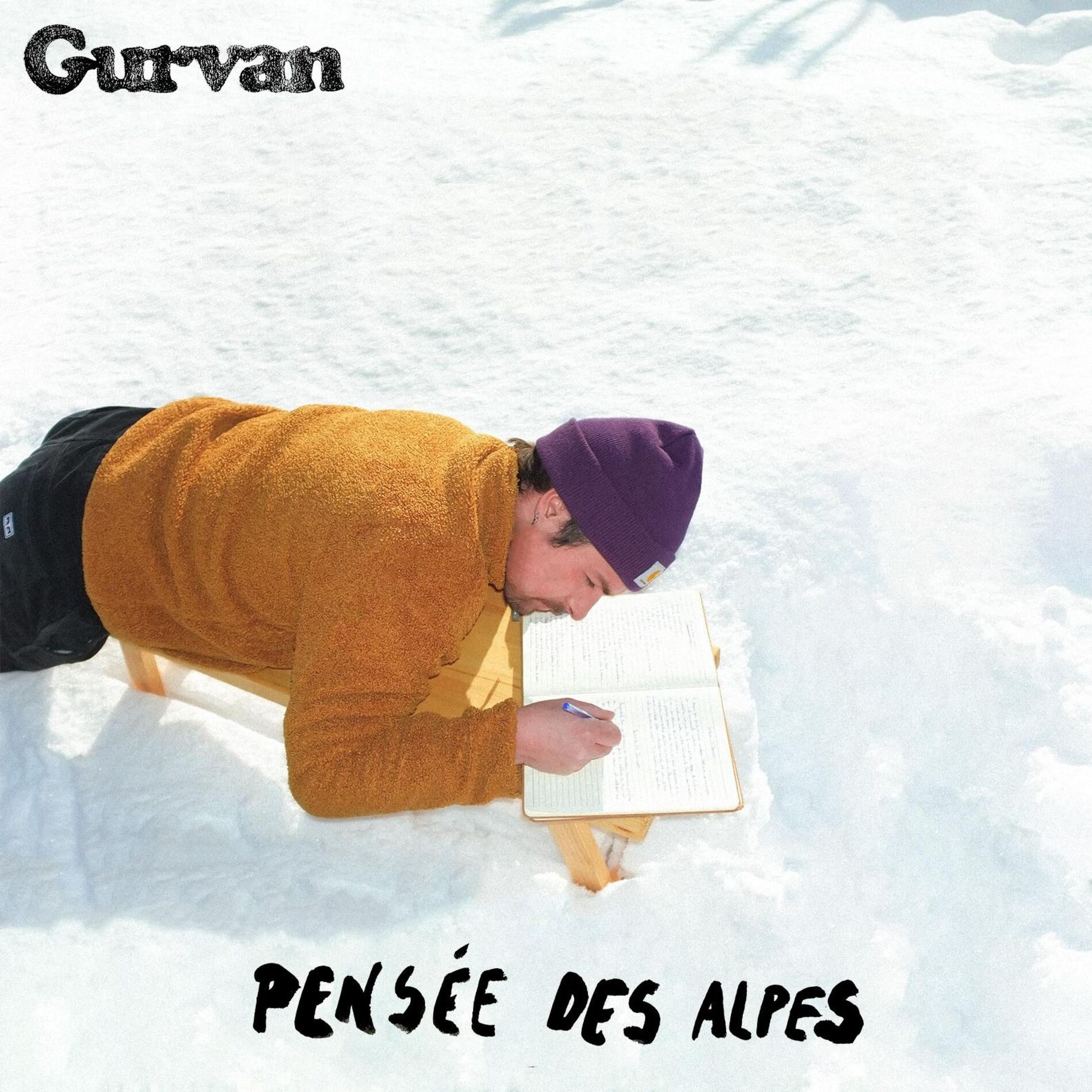 Album cover of Pensée des Alpes