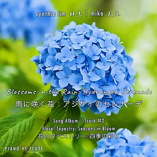 Cynthia Lim 林意 - Blossoms in the Rain: Hydrangea Serenade 雨に