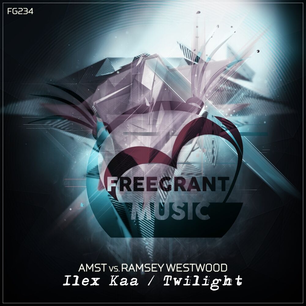 Picture of Ilex Kaa / Twilight
