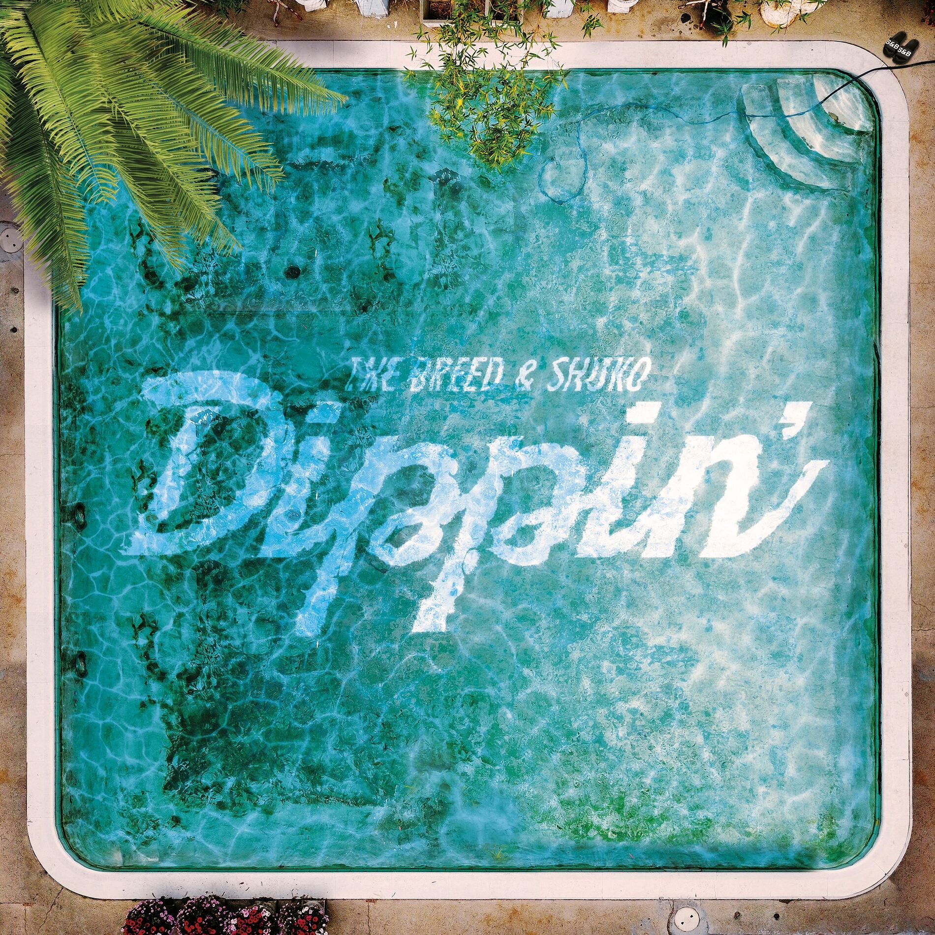 Album cover of Dippin'