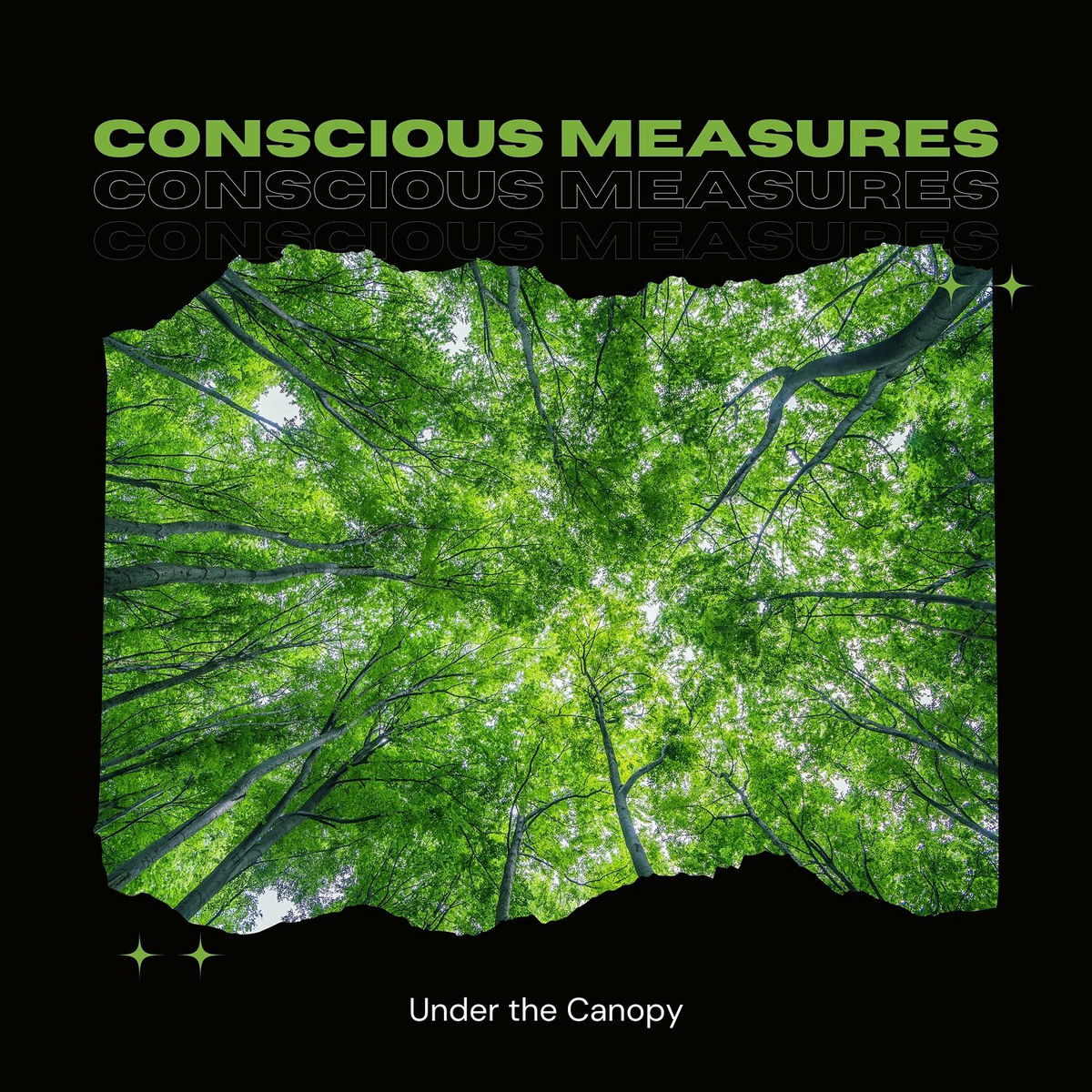 Album cover of Under the Canopy: 432 Hz Piano Stories