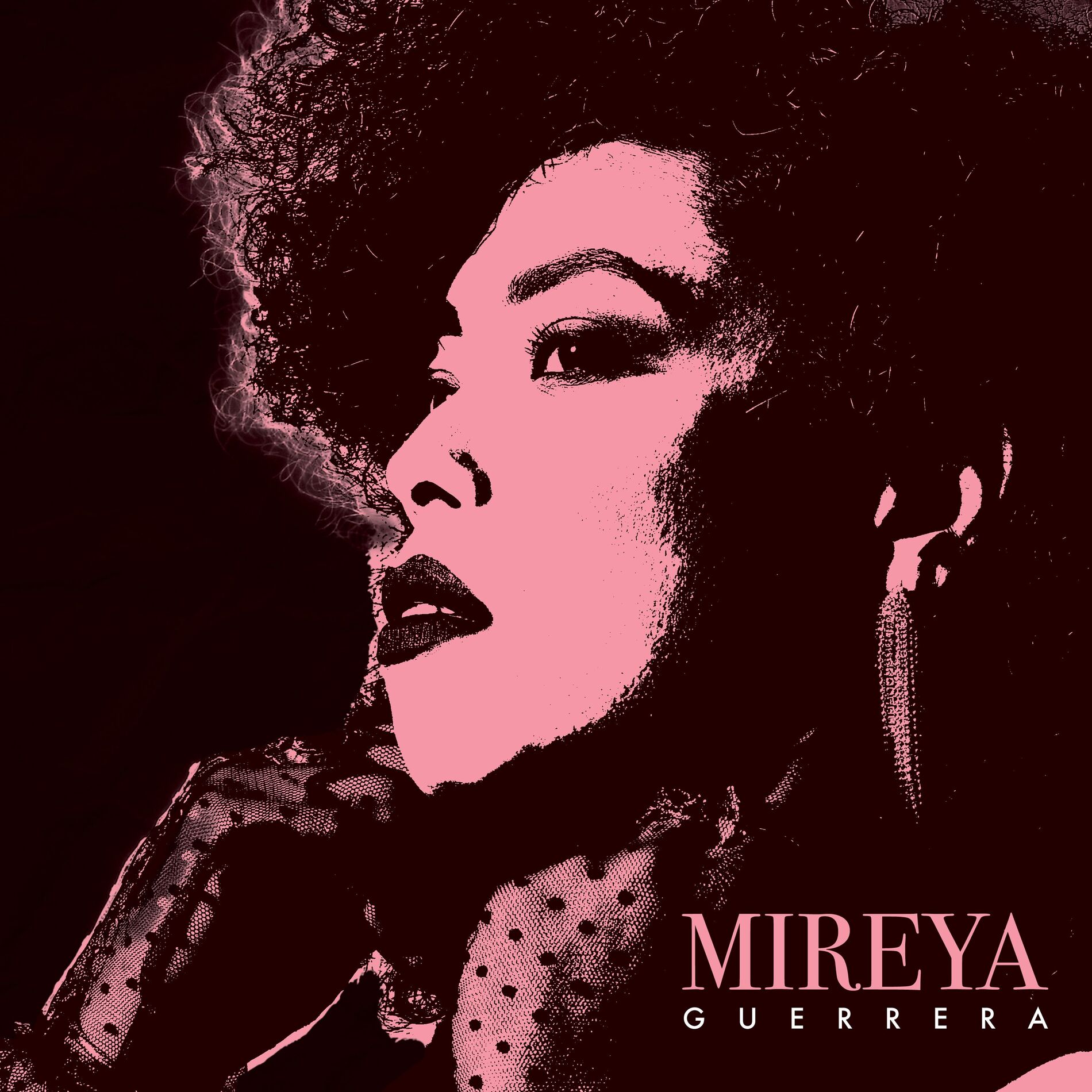 Album cover of Guerrera