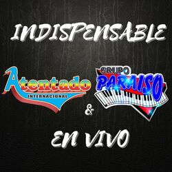 Cover of Indispensable (En Vivo)