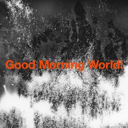 Cover of Good Morning World!