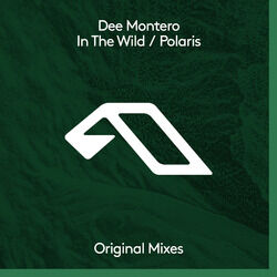 Cover of In The Wild / Polaris