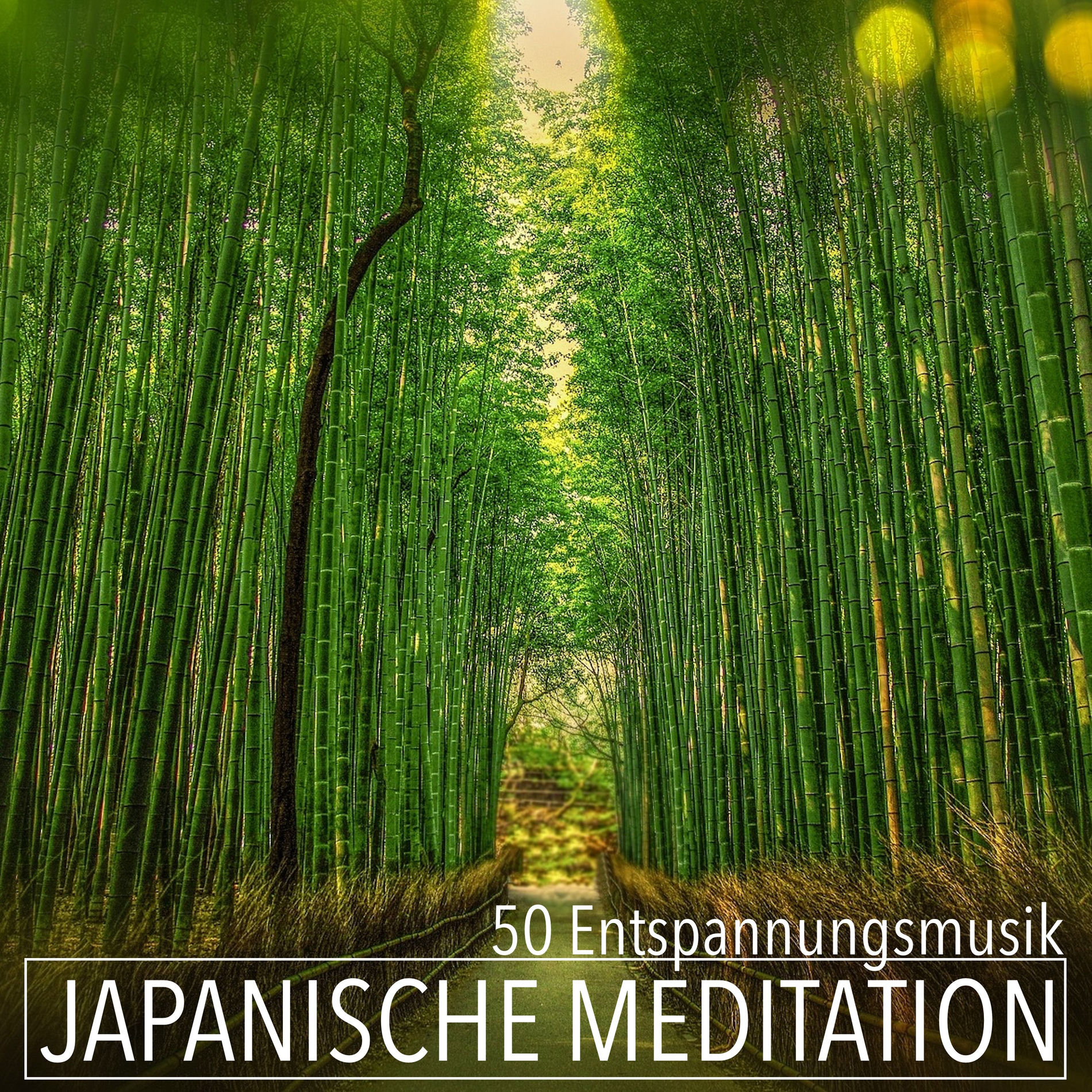 Album cover of Japanische Meditation 50 Entspannungsmusik - Orientalische Flötenmusik und Tibetische Klangschalen für Zen und Regeneration