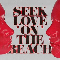 Cover of Seek Love (On The Beach) (feat. Amanda Wilson & York)