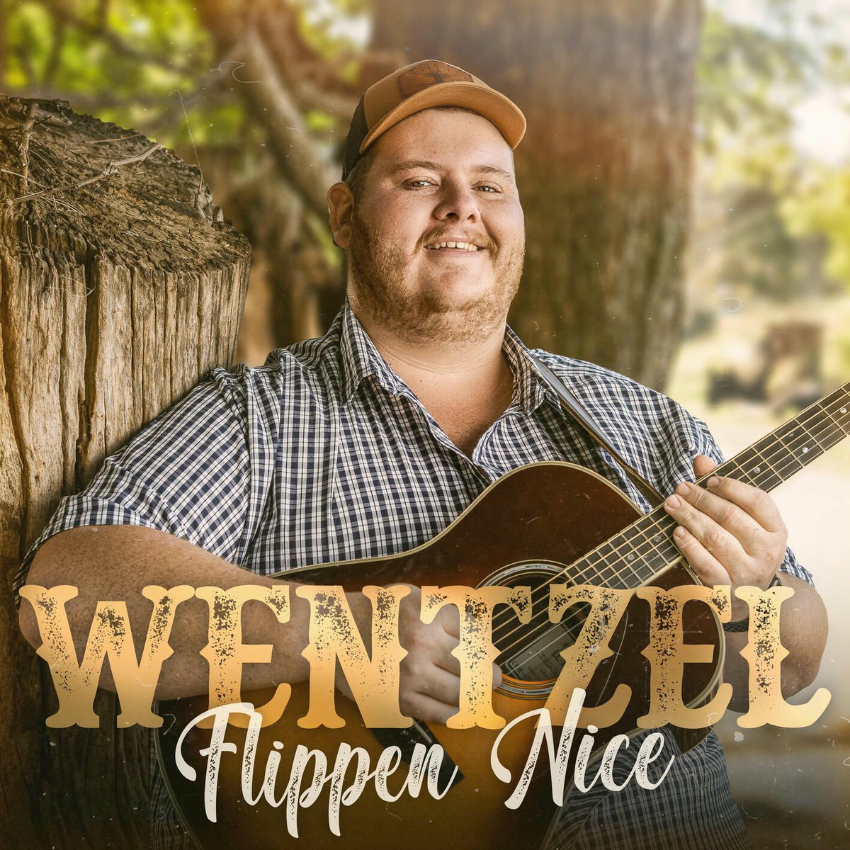 Album cover of Flippen Nice