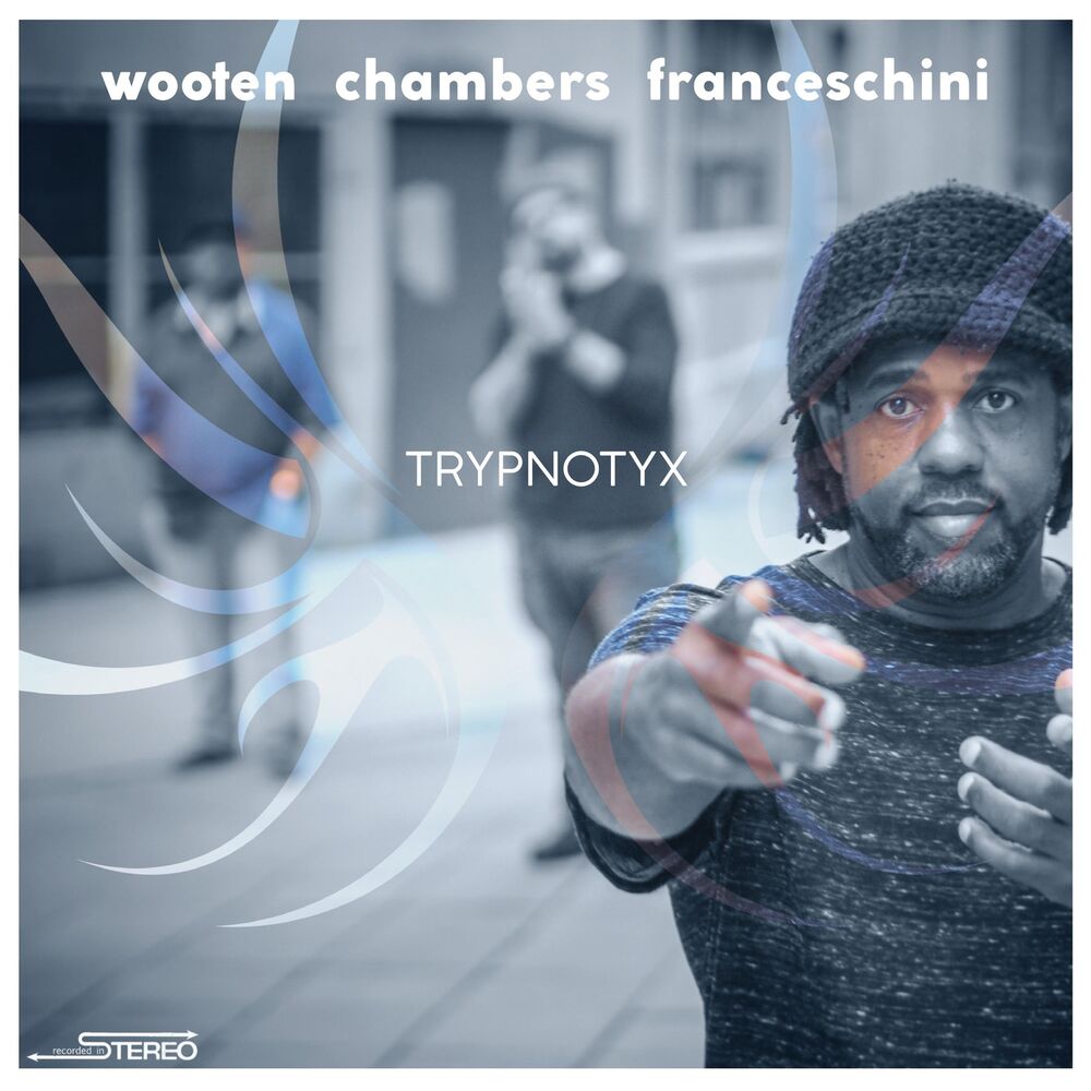 Picture of TRYPNOTYX