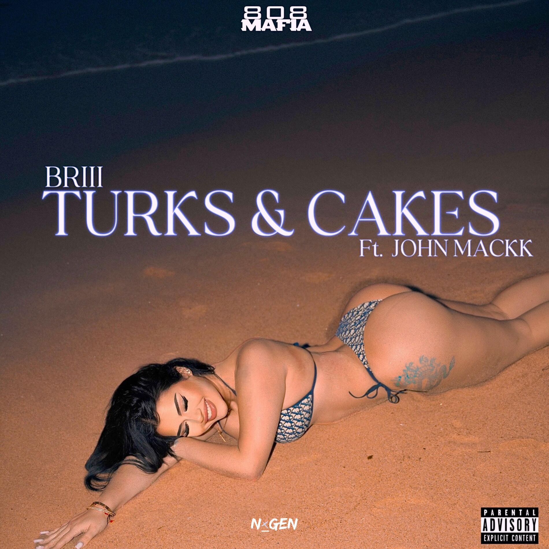 Album cover of Turks & Cakes