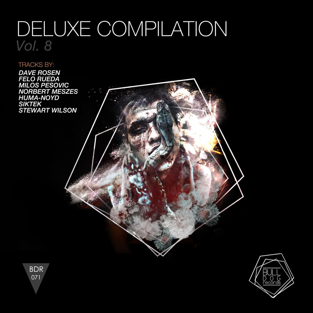 Picture of Deluxe Compiled Vol.8