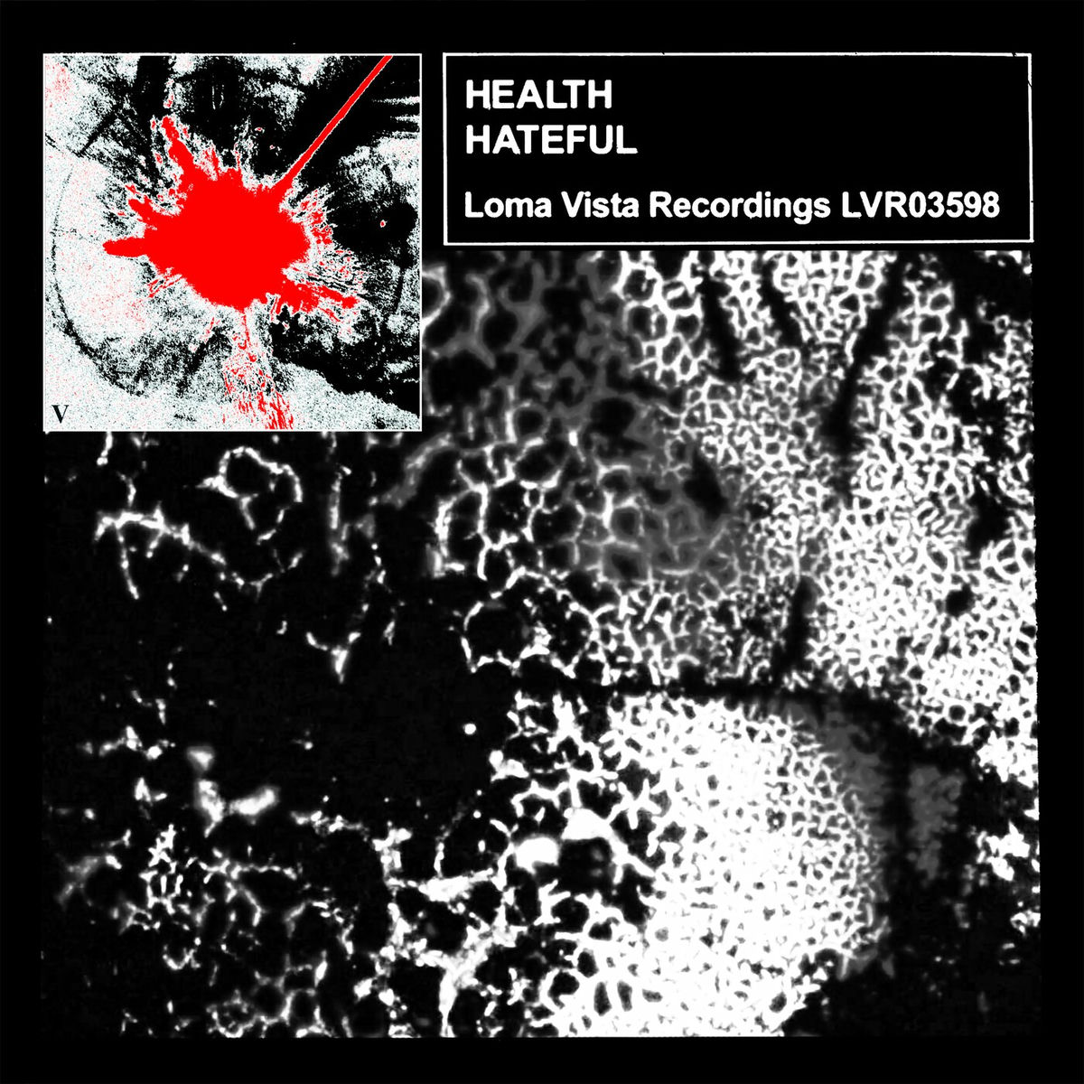 Album cover of HATEFUL