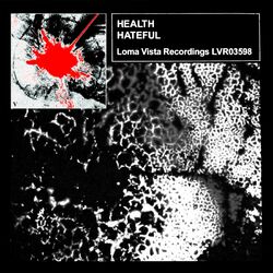 Cover of HATEFUL