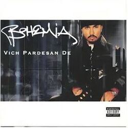 Cover of Vich Pardesan de (In the Foreign Land)