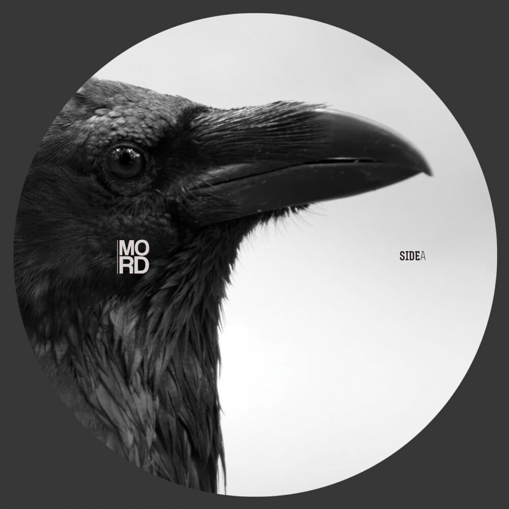 Picture of Intelligent Life EP