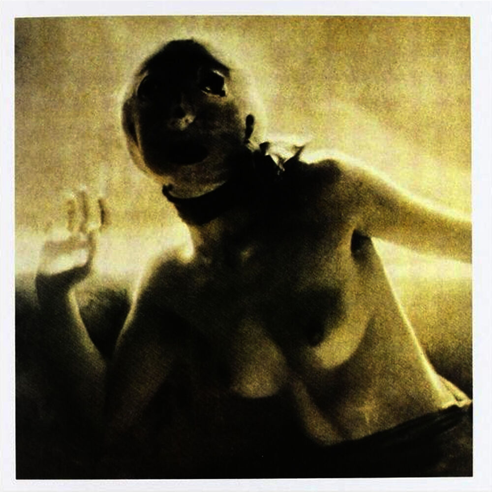 Picture of Folk XII