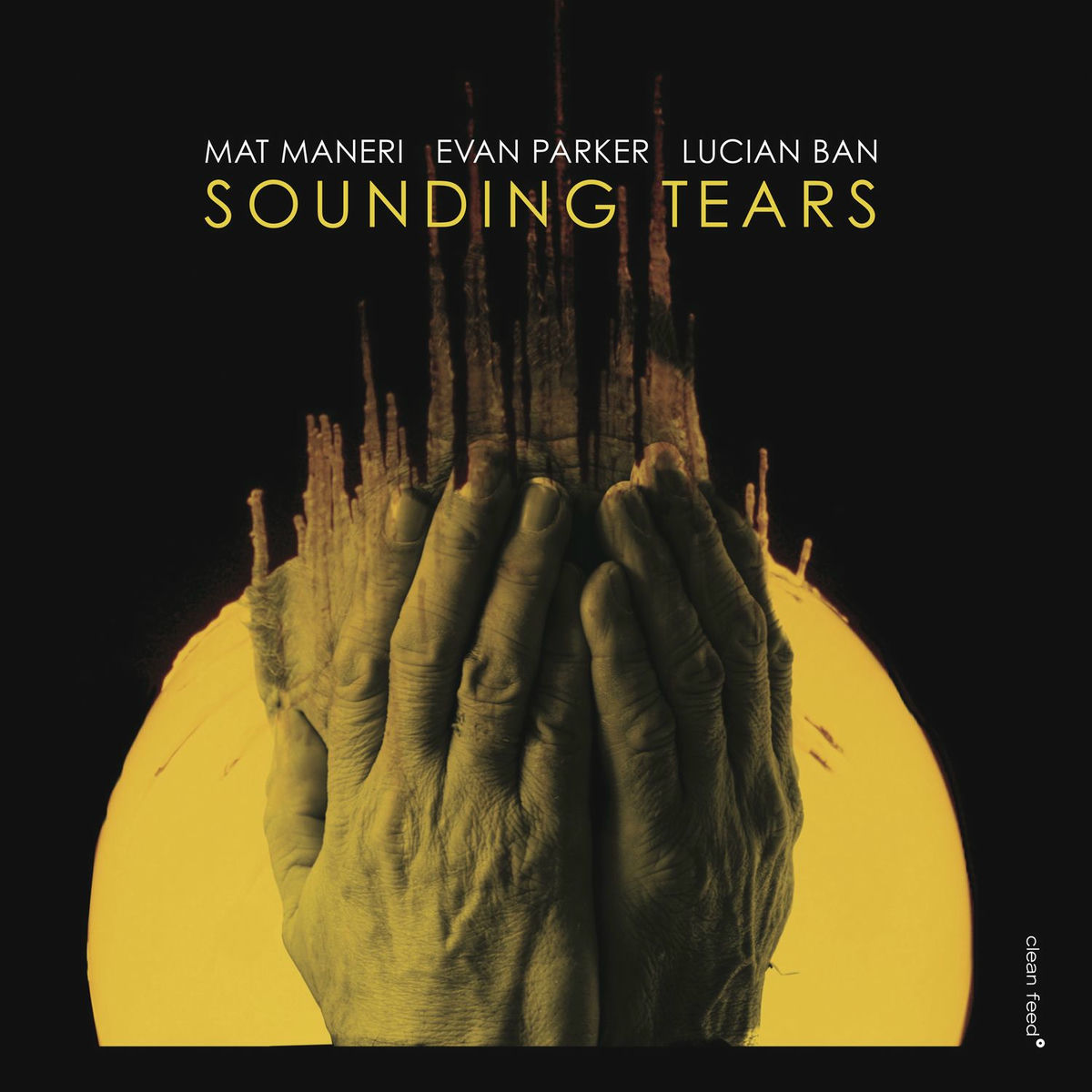 Album cover of Sounding Tears