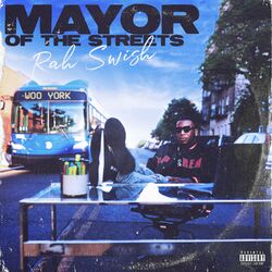 Cover of MAYOR OF THE STREETS