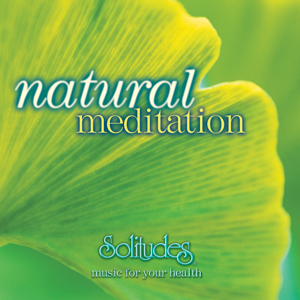 Album cover of Meditation on Birds
