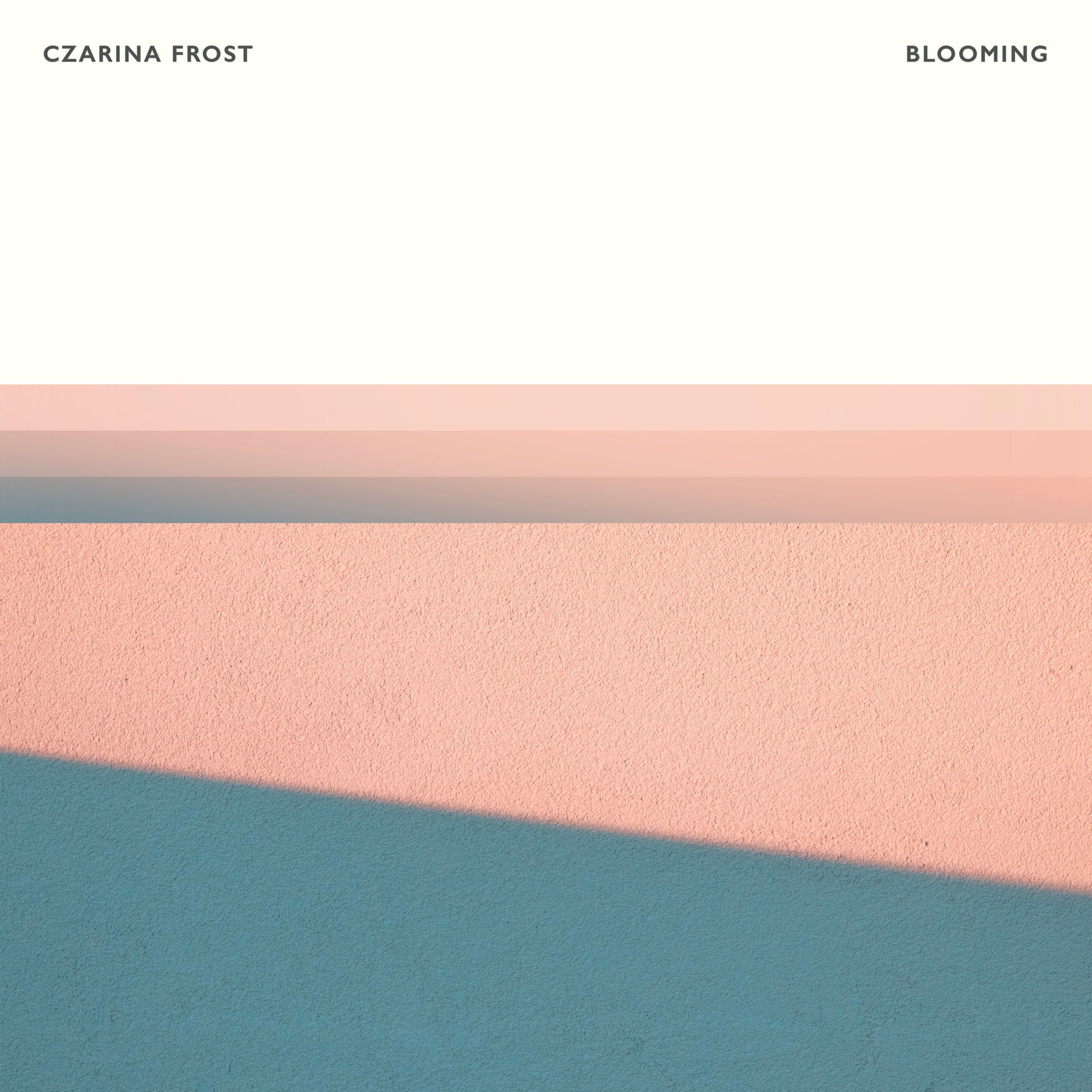 Album cover of Blooming