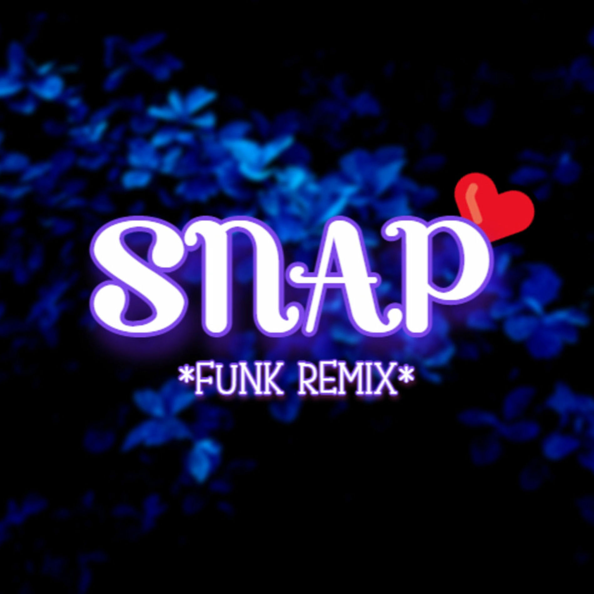 Album cover of Beat SNȺP (FUNK REMIX)