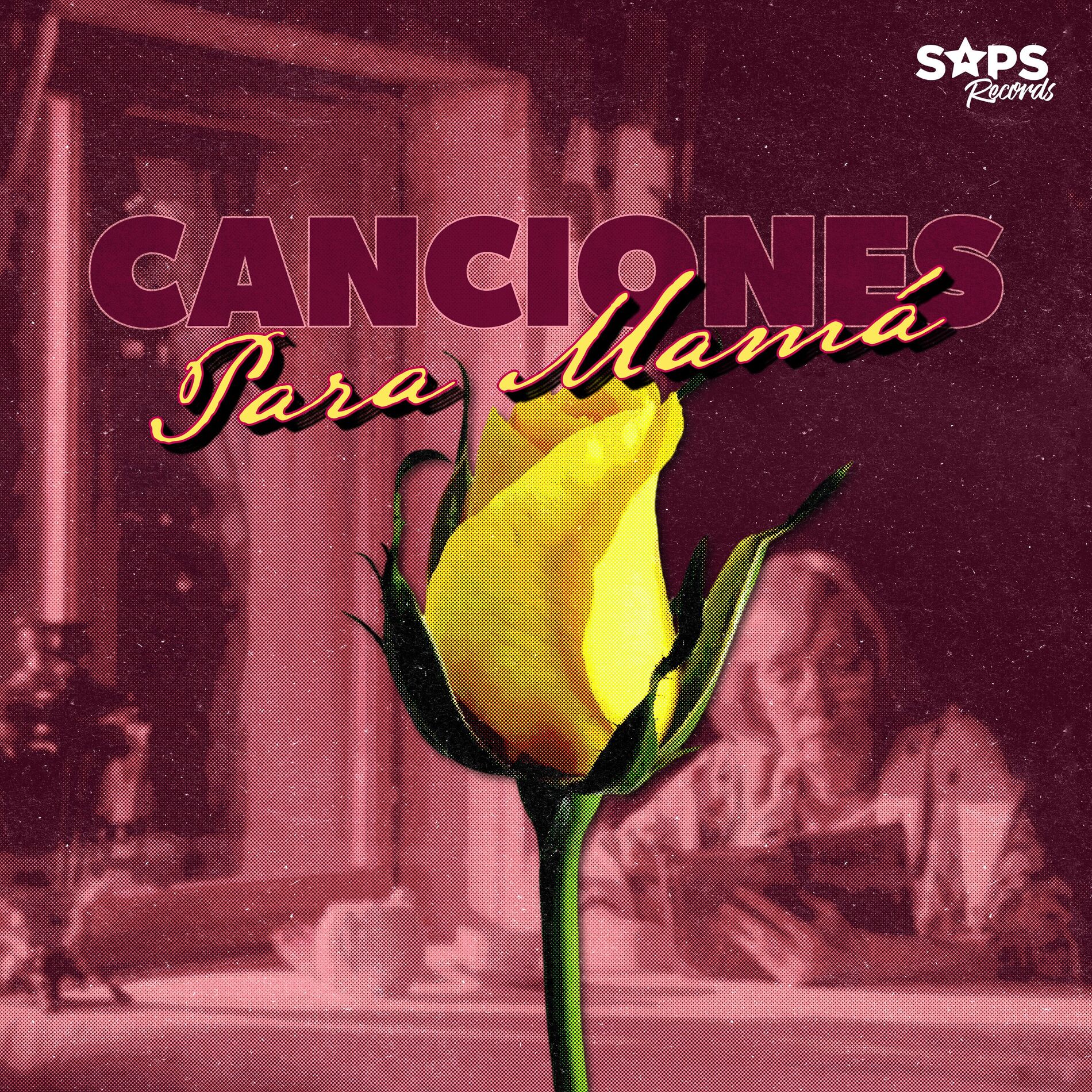 Album cover of Canciones para Mamá