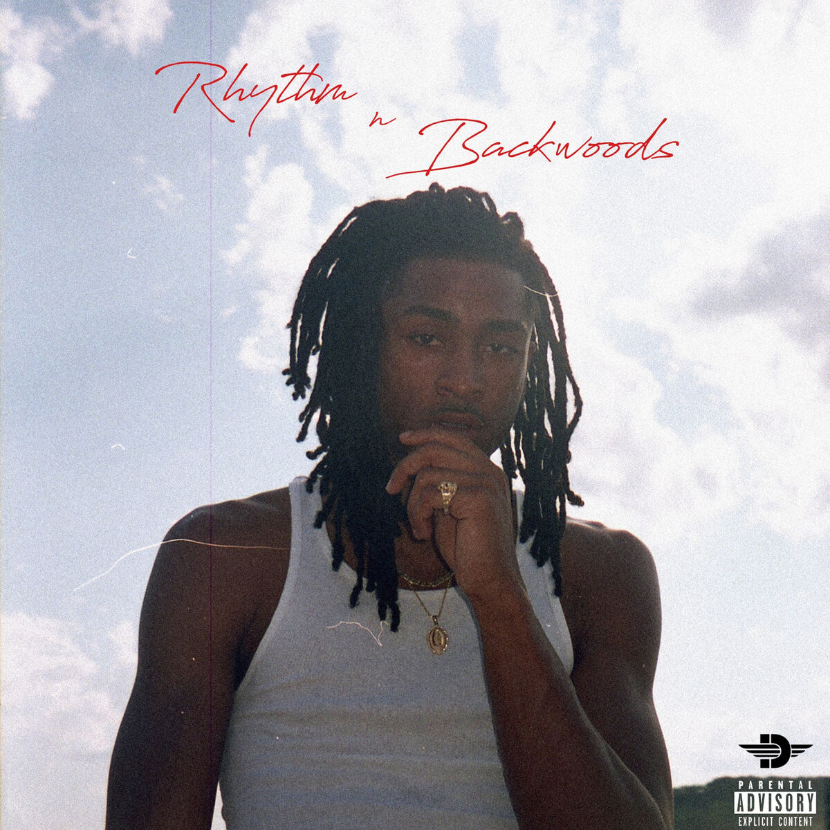 Album cover of Rhythm n Backwoods