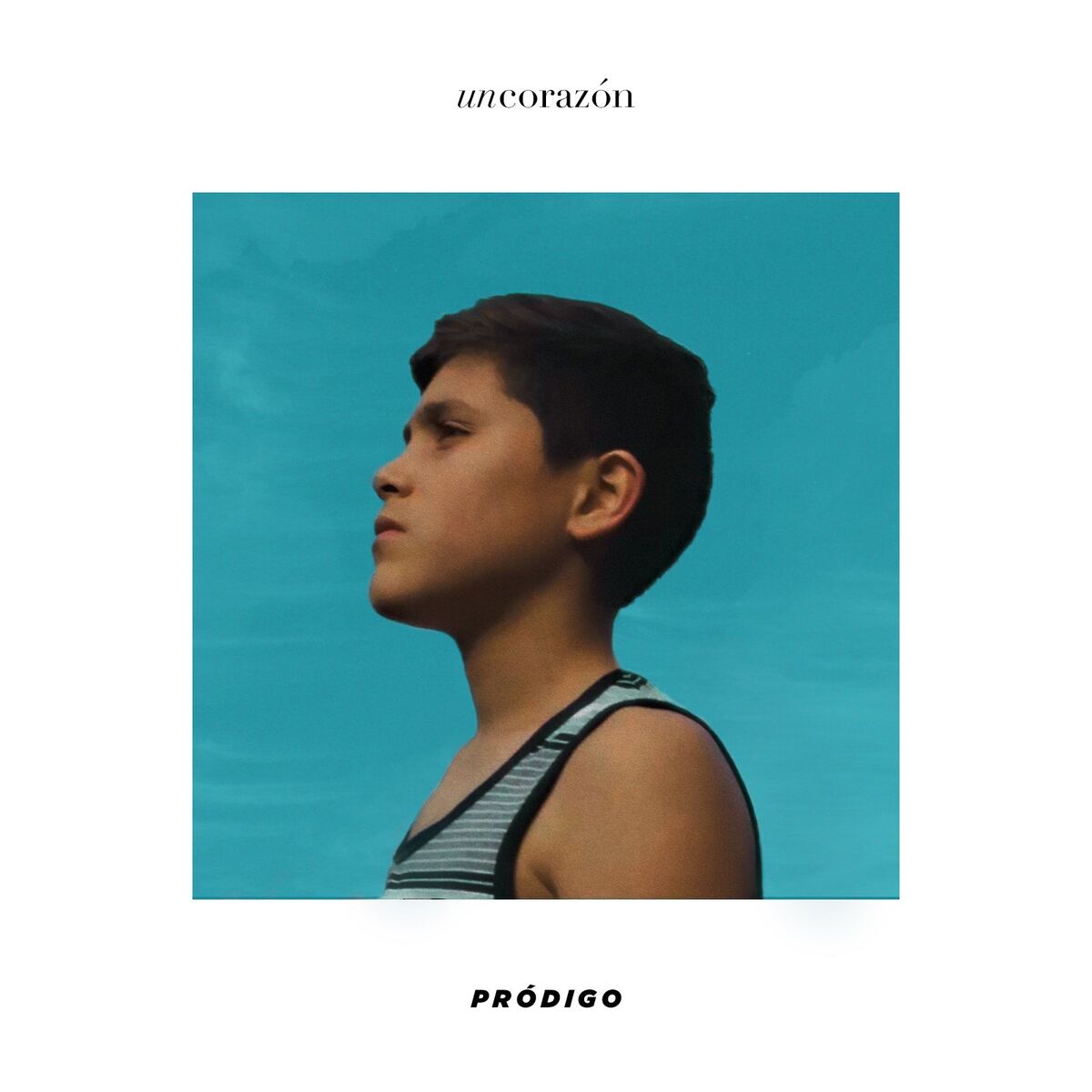 Album cover of Pródigo