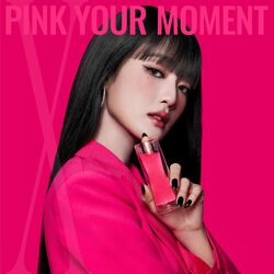 Cover of PINK YOUR MOMENT