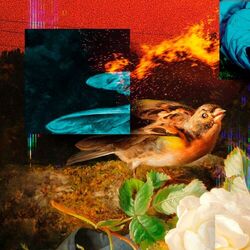 Cover of Trigger Your Sense