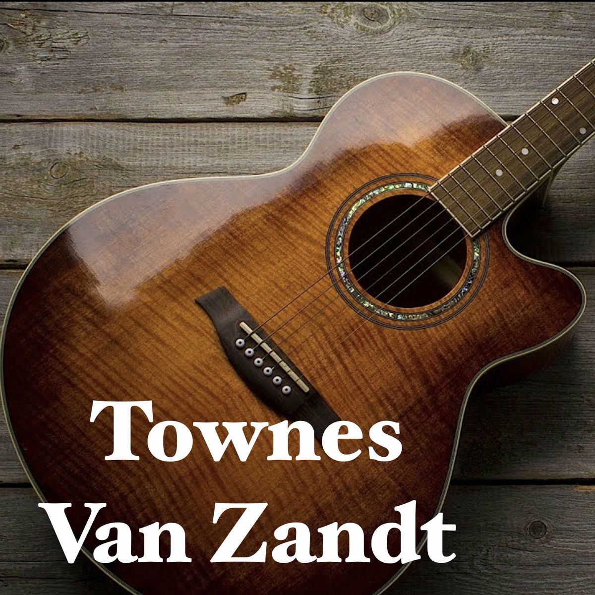 Album cover of Townes Van Zandt - WETS FM Broadcast The Down Home Club Johnson City 25th April 1985.