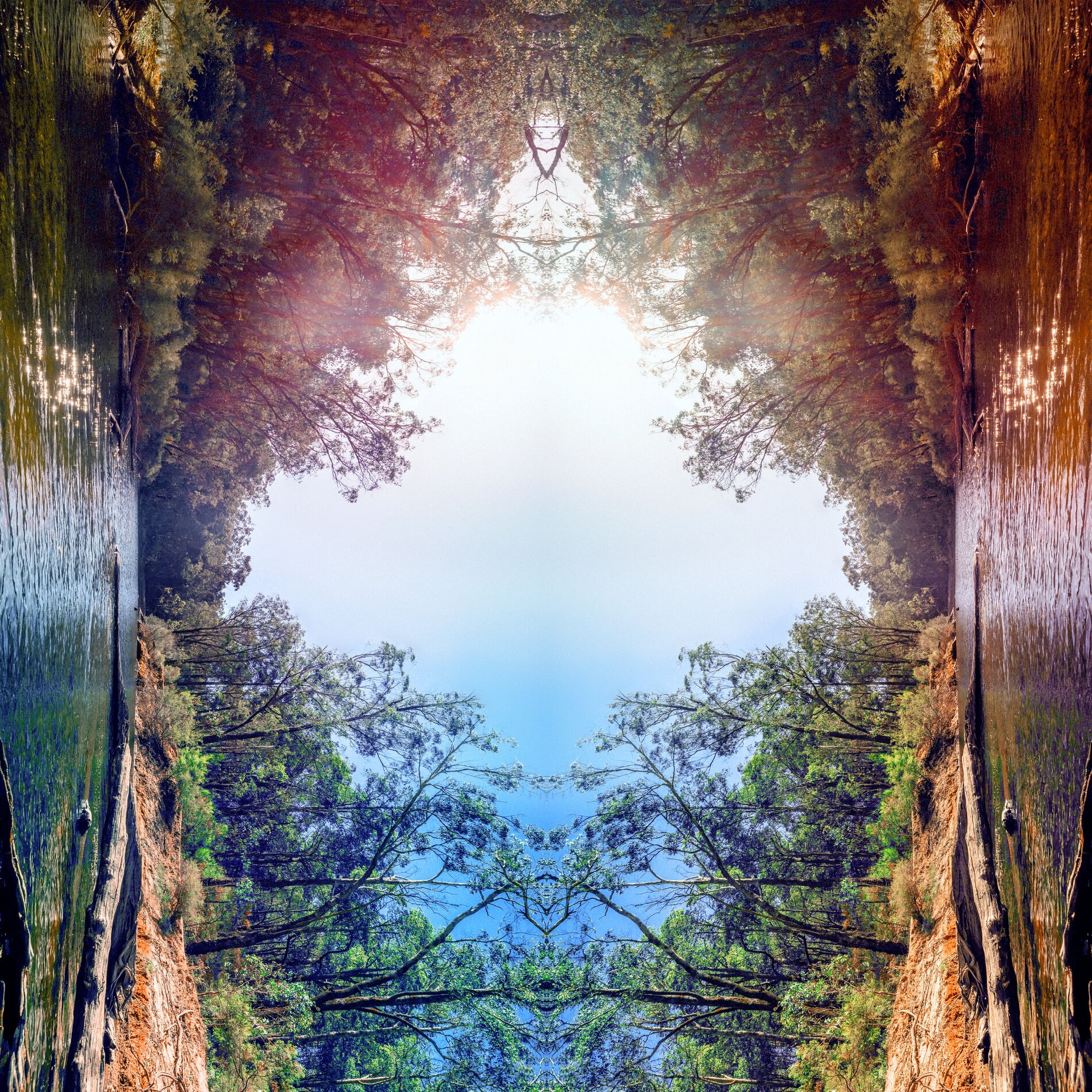 Album cover of Surrender