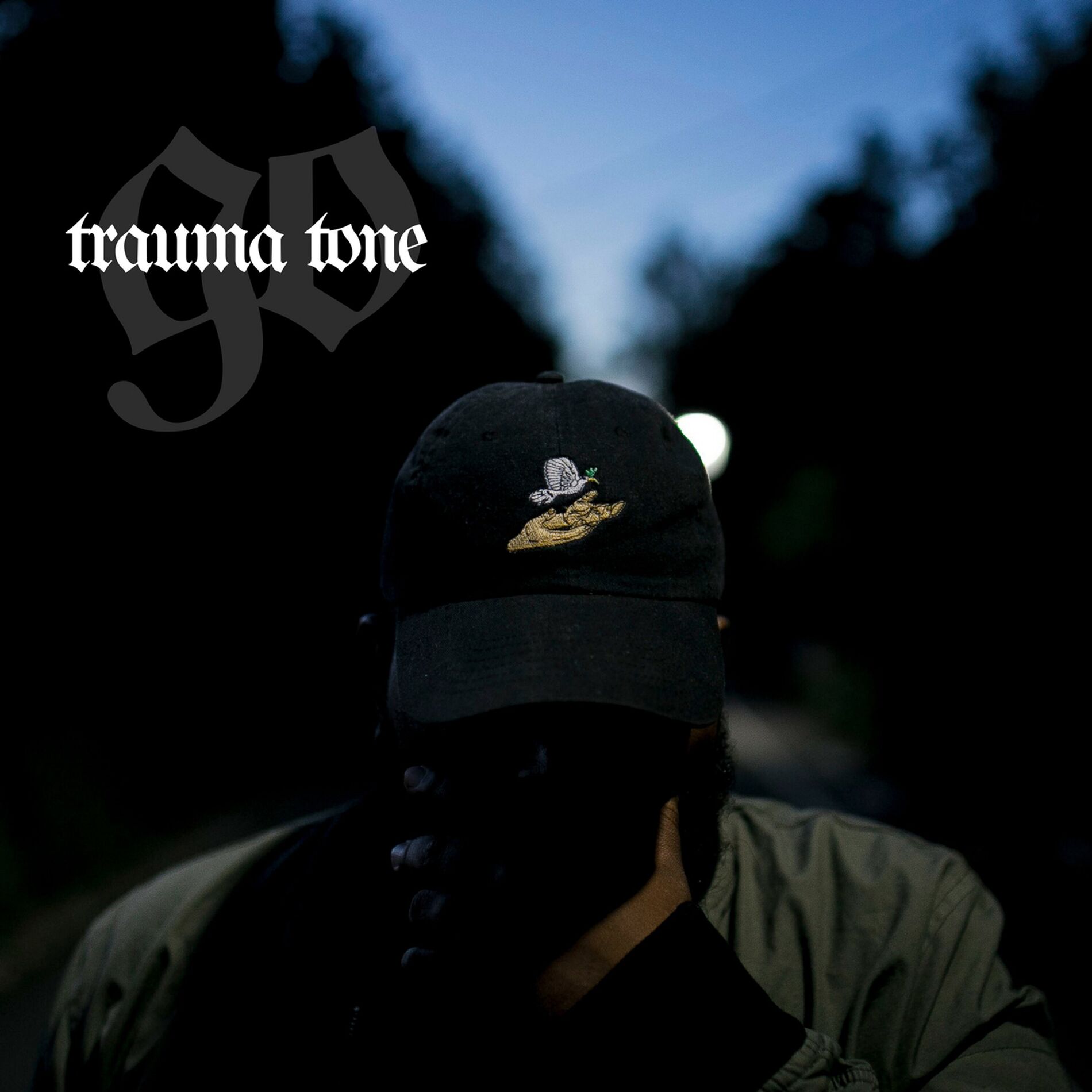 Album cover of Go