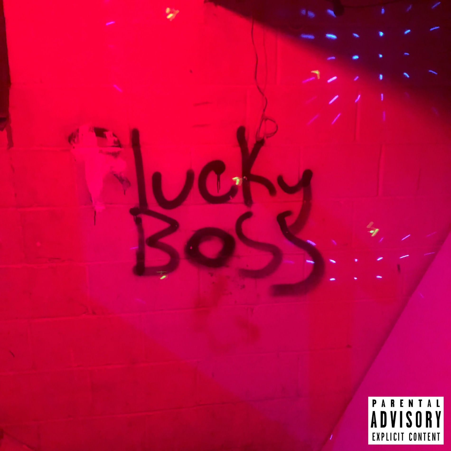 Album cover of Lucky Boss