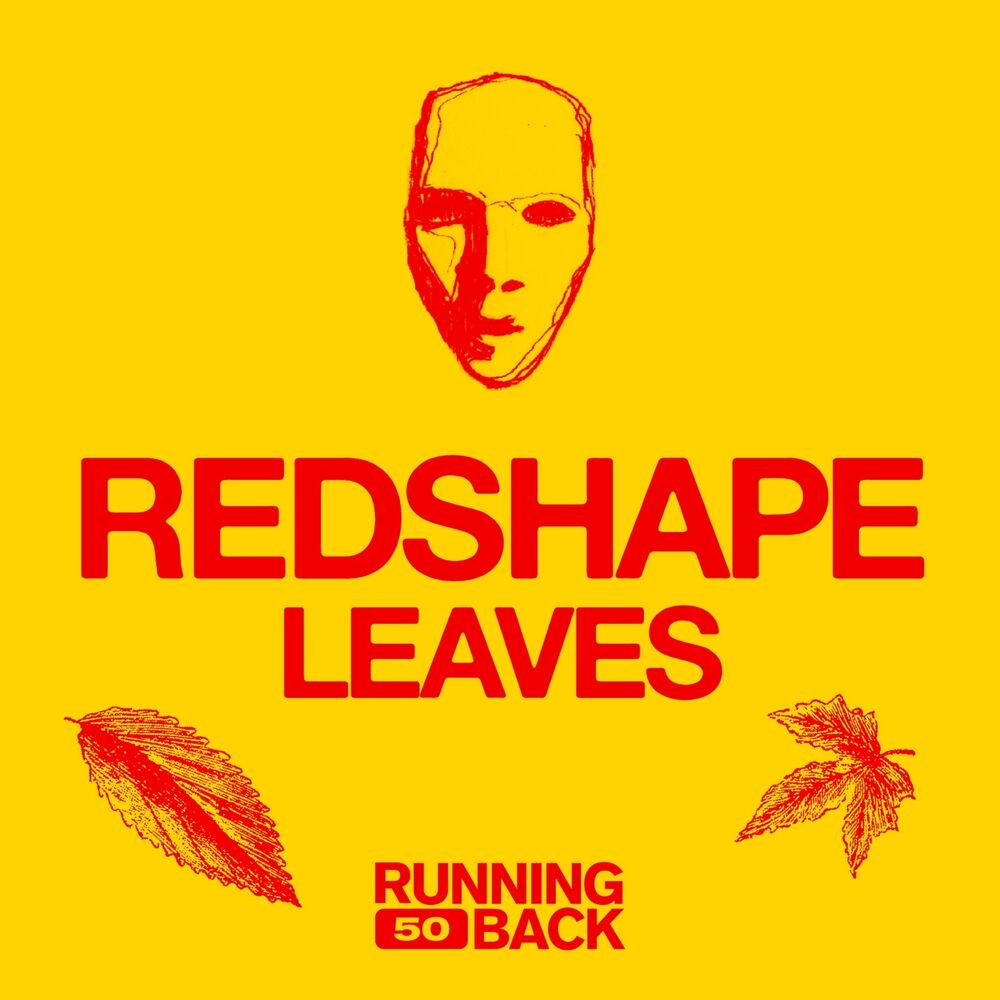 Picture of Leaves