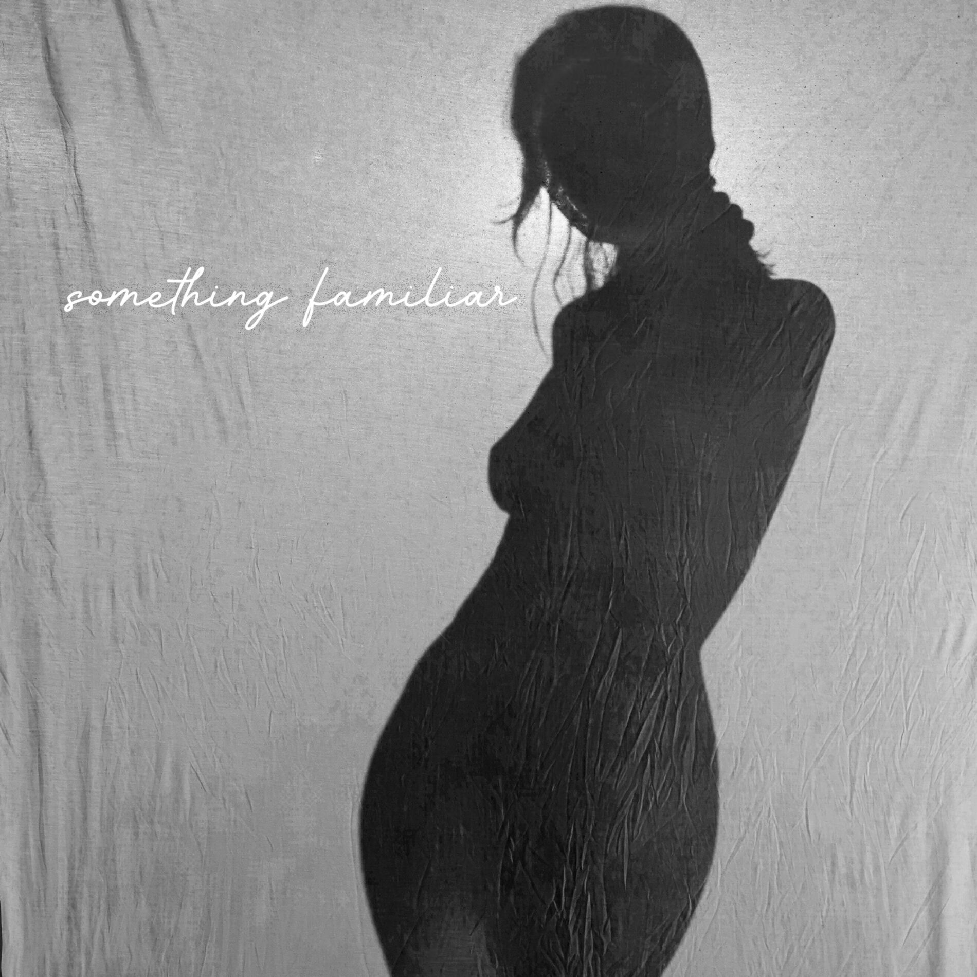 Album cover of something familiar