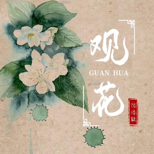 观花 (Remix)