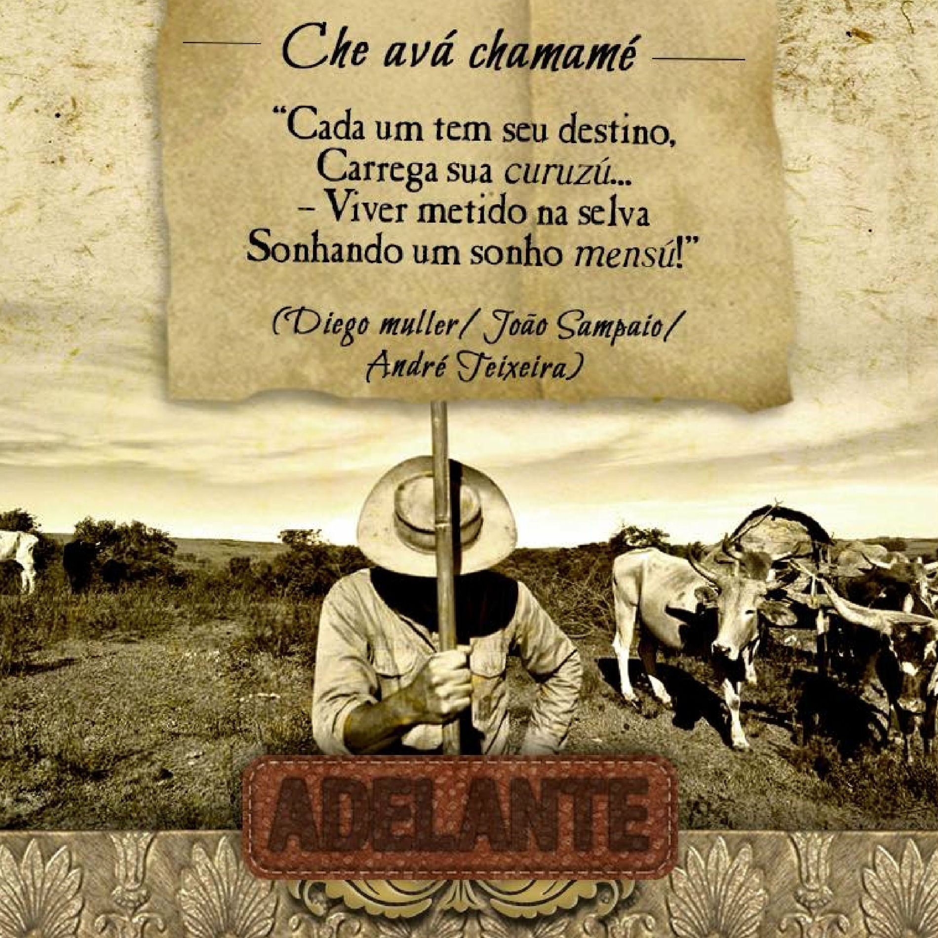 Album cover of Che Avá Chamamé