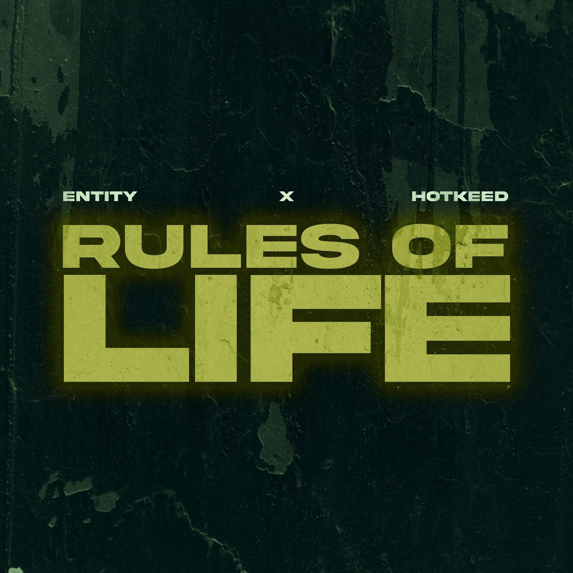 Album cover of Rules Of Life