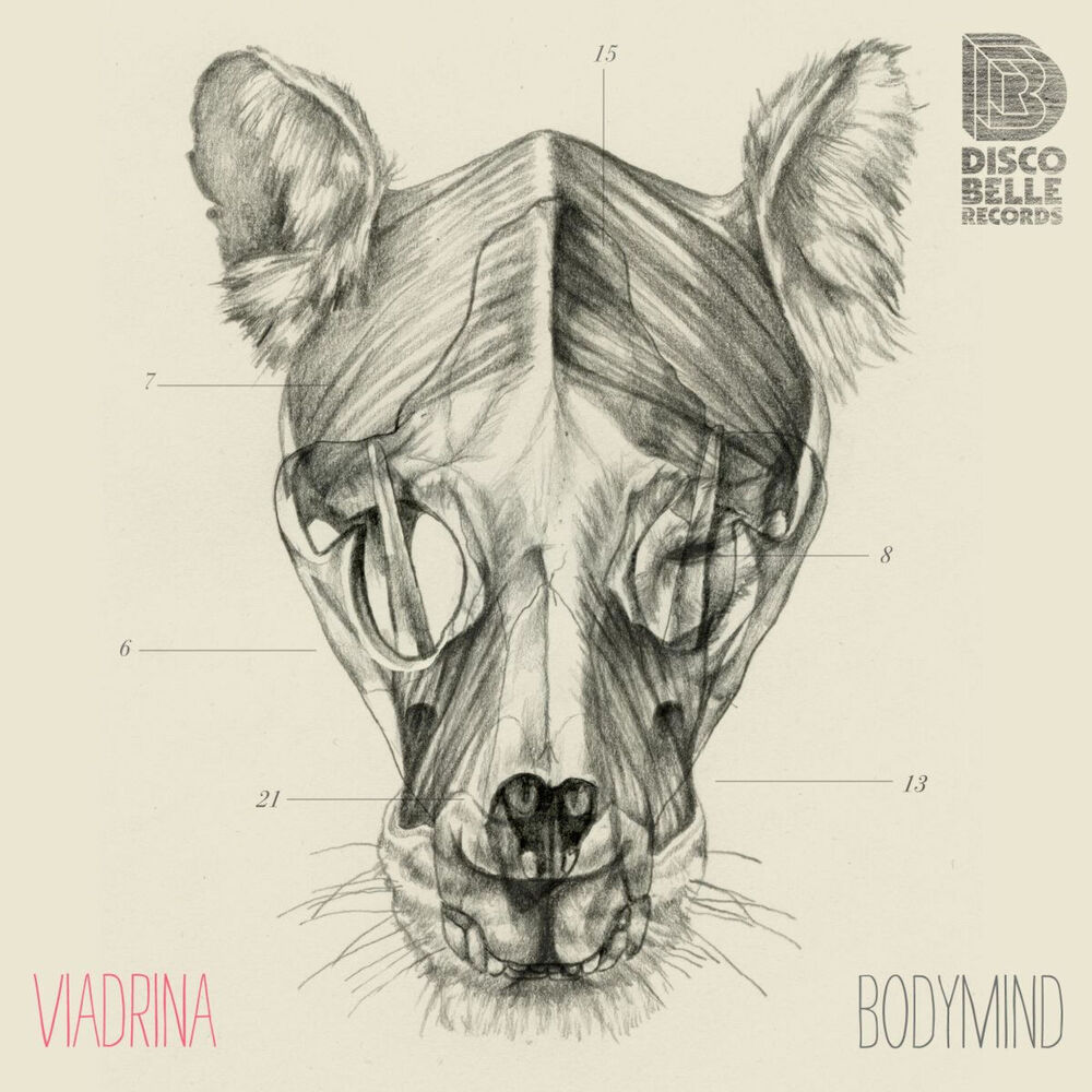 Picture of Bodymind